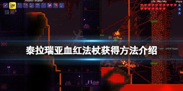 《泰拉瑞亞》血蝙蝠法杖怎麼獲得？血紅法杖獲得方法介紹