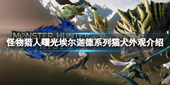 《怪物獵人崛起》有什麼追加內容嗎？曙光埃爾迦德系列貓犬外觀介紹