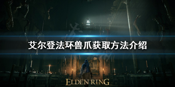 《艾爾登法環》獸爪如何獲得？獸爪獲取方法介紹
