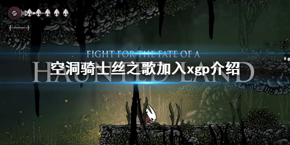 《空洞騎士絲之歌》首發加入xgp嗎？加入xgp介紹