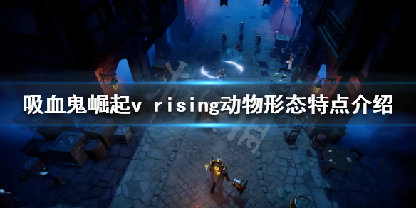 《吸血鬼崛起》動物形態有哪些？v rising動物形態特點介紹