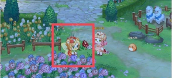 奧比島種子在哪買