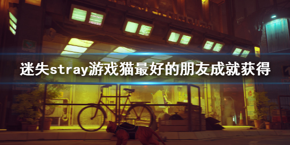 《迷失》stray遊戲貓最好的朋友成就獲得 stray貓最好的朋友獎盃獲得