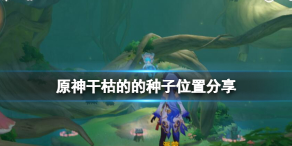 《原神》乾枯的的種子在哪？乾枯的的種子位置分享