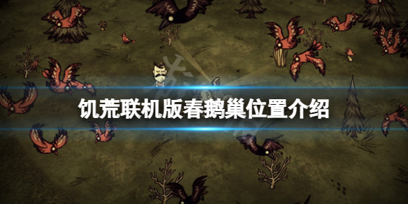 《飢荒聯機版》春鵝巢在哪？春鵝巢位置介紹