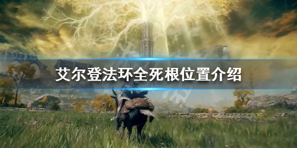 《艾爾登法環》死根如何收集？全死根位置介紹