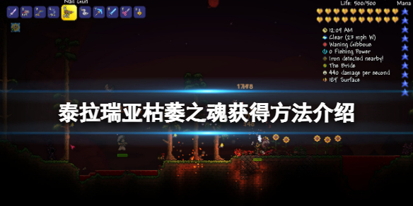 《泰拉瑞亞》枯萎之魂怎麼獲得？枯萎之魂獲得方法介紹