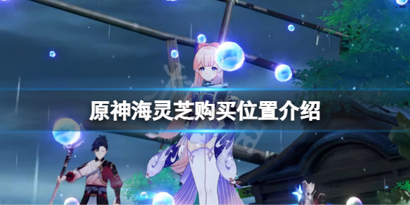 《原神》海靈芝哪裡買？海靈芝購買位置介紹