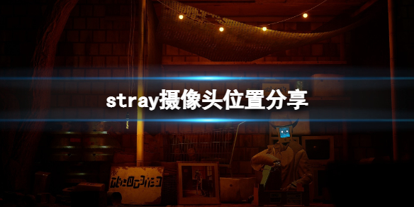 《迷失》stray攝像頭在哪？攝像頭位置分享