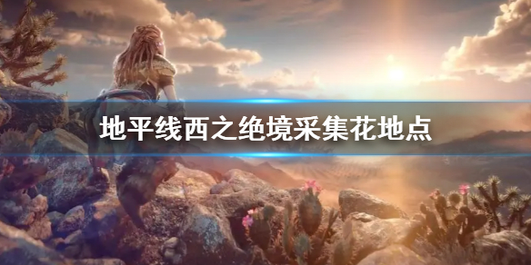 《地平線西之絕境》採花地點有哪些 游戲內採集花位置介紹