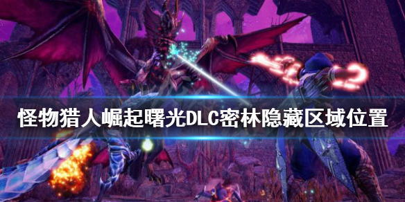 《怪物獵人崛起》密林隱藏區域在哪？曙光DLC密林隱藏區域位置