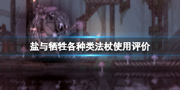 《鹽與獻祭》法杖什麼好用？各種類法杖使用評價