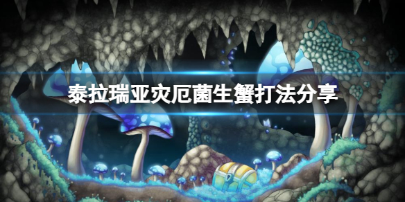 《泰拉瑞亞》菌生蟹怎麼打？災厄菌生蟹打法分享