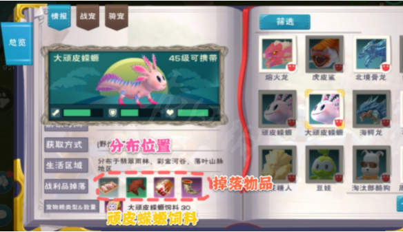 創造與魔法大頑皮蠑螈飼料幾包穩