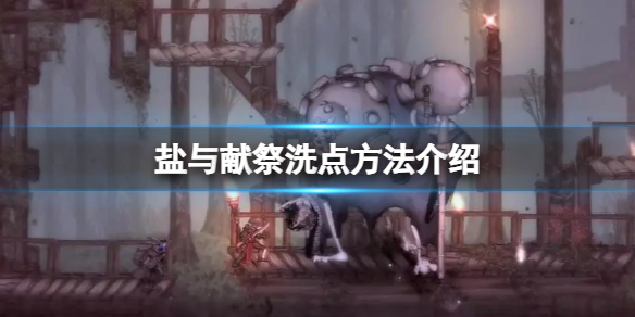 《鹽與獻祭》屬性點加錯怎麼辦？洗點方法介紹