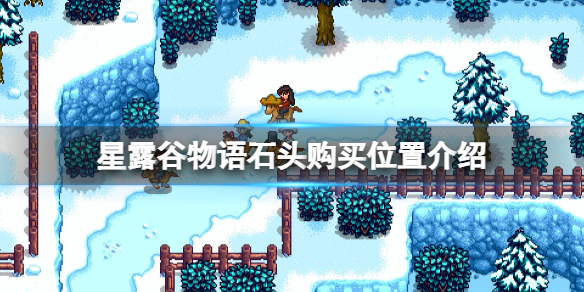 《星露穀物語》石頭哪裡買？石頭購買位置介紹