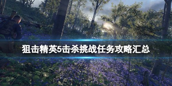 《狙擊精英5》擊殺挑戰任務有哪些？擊殺挑戰任務攻略匯總