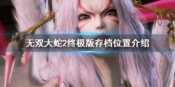 《無雙大蛇2終極版》存檔在哪?steam存檔位置介紹