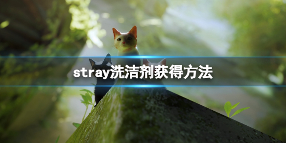《迷失》stray洗衣店洗潔劑怎麼拿？洗潔劑獲得方法