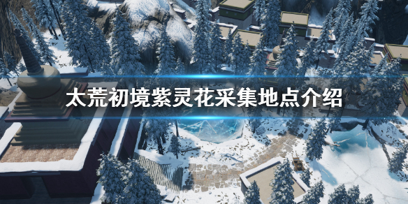 《太荒初境》紫靈花在哪 紫靈花採集地點介紹