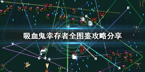 《吸血鬼倖存者》如何做到全圖鑒收集？全圖鑒攻略分享