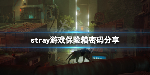《迷失》保險箱密碼是什麼？stray遊戲保險箱密碼分享
