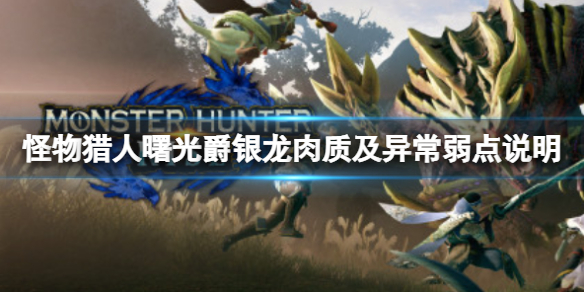 《怪物獵人崛起》曙光爵銀龍怎麼打？曙光爵銀龍肉質及異常弱點說明