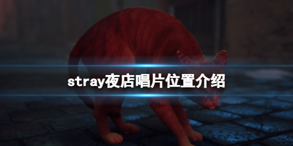 《迷失》stray夜店唱片在哪？夜店唱片位置介紹