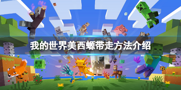 《我的世界》蠑螈怎麼帶走？美西螈帶走方法介紹