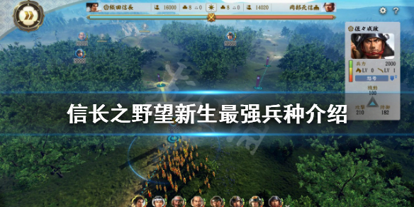 《信長之野望新生》最強兵種是什麼?最強兵種介紹