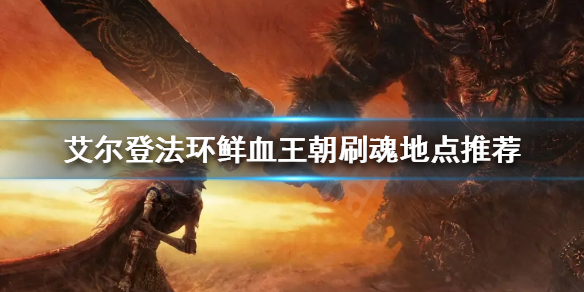 《艾爾登法環》如何快速刷魂？鮮血王朝刷魂地點推薦