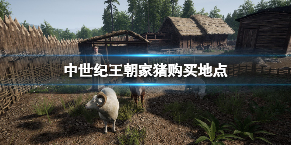 《中世紀王朝》豬在哪買？家豬購買地點一覽