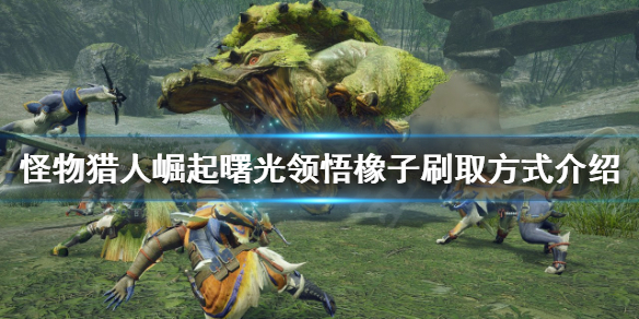 《怪物獵人崛起》領悟橡子怎麼刷？曙光領悟橡子刷取方式介紹