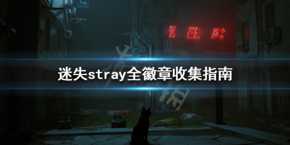 《迷失》全徽章收集指南 stray游戲徽章怎麼獲得
