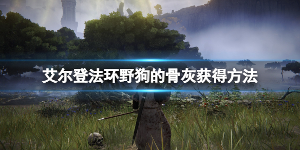 《艾爾登法環》野狗的骨灰好用嗎？野狗的骨灰獲得方法