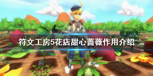 《符文工房5》花店甜心薔薇在哪？花店甜心薔薇作用介紹