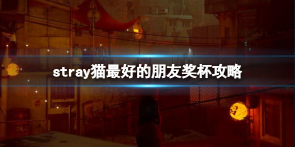 《迷失》stray貓最好的朋友獎盃攻略 貓最好的朋友怎麼觸發？