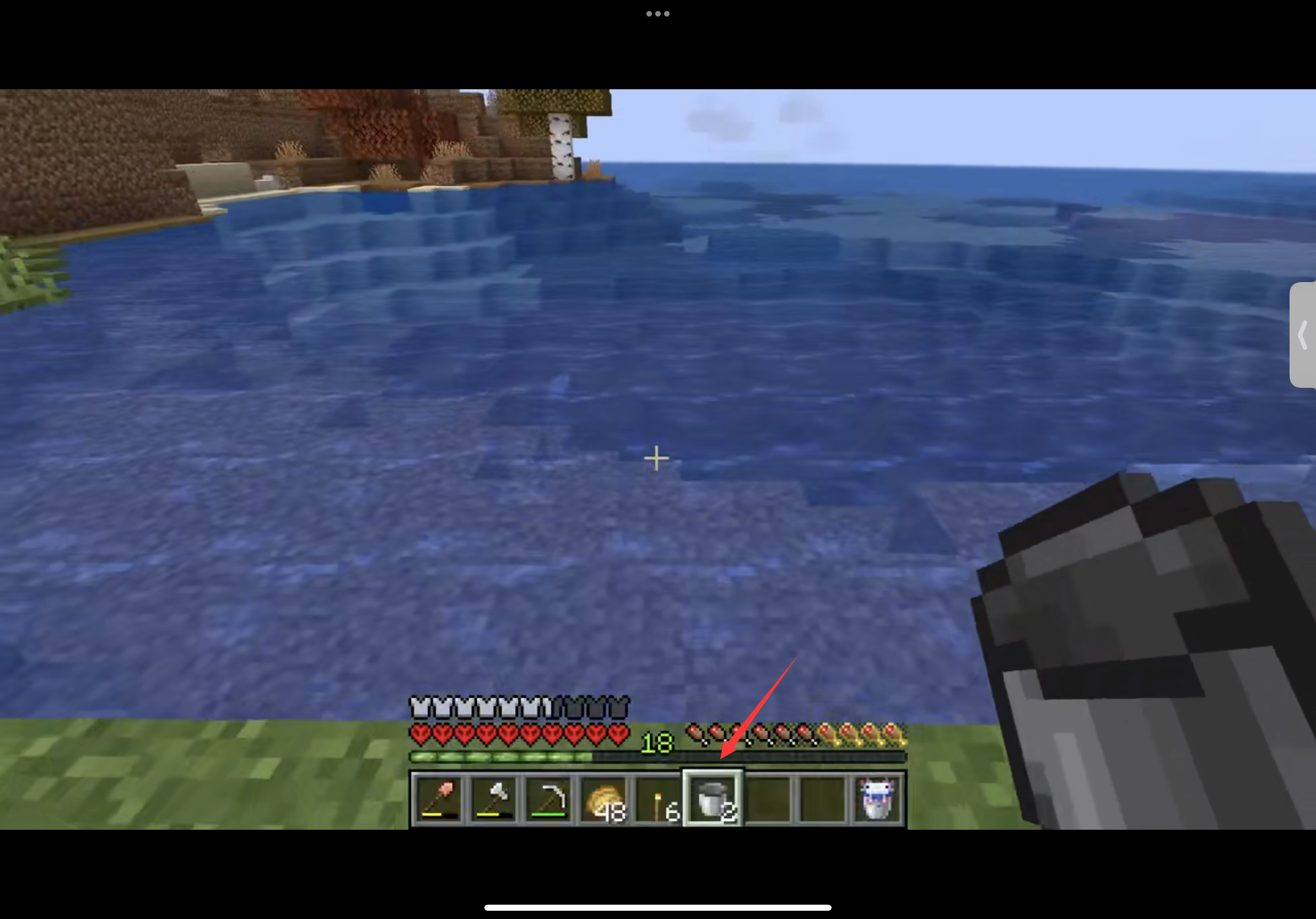 我的世界怎麼用桶裝蠑螈？