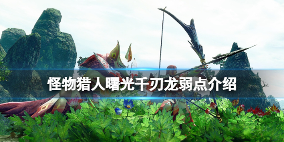 《怪物獵人崛起》曙光千刃龍弱點是什麼？曙光千刃龍弱點介紹
