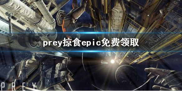 《掠食》epic免費領取方法 epic怎麼免費領取prey