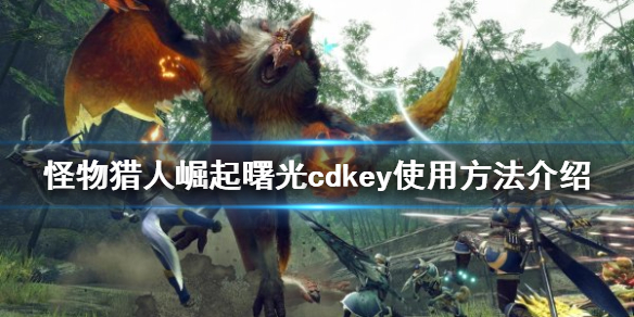 《怪物獵人崛起》cdkey如何使用？曙光cdkey使用方法介紹