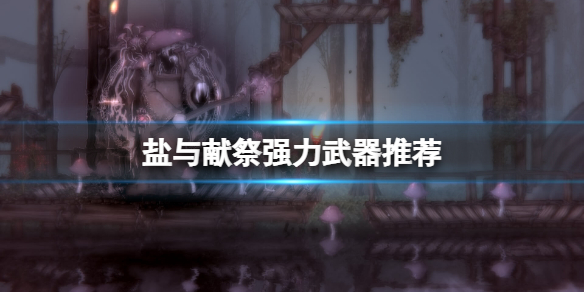 《鹽與獻祭》強力武器推薦 好用武器有哪些?