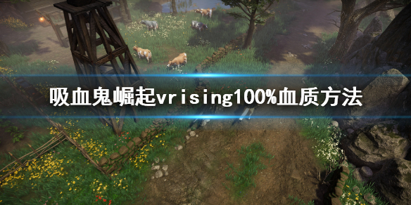 《吸血鬼崛起》血質怎麼提升？vrising100%血質方法