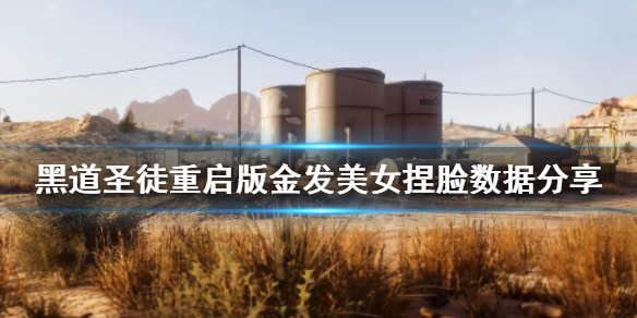 《黑道聖徒重啟版》金發美女怎麼捏？金發美女捏臉數據分享