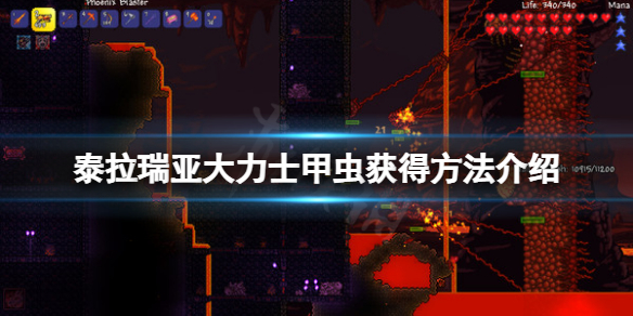 《泰拉瑞亞》大力士甲蟲怎麼獲得？大力士甲蟲獲得方法介紹