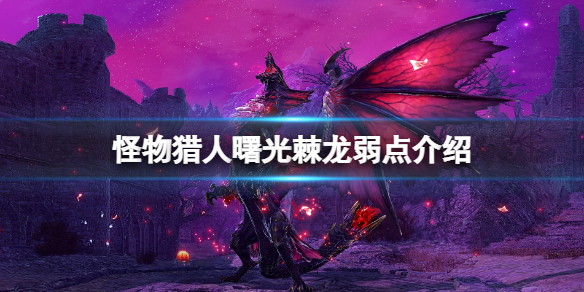 《怪物獵人崛起》曙光棘龍弱點是什麼？曙光棘龍弱點介紹