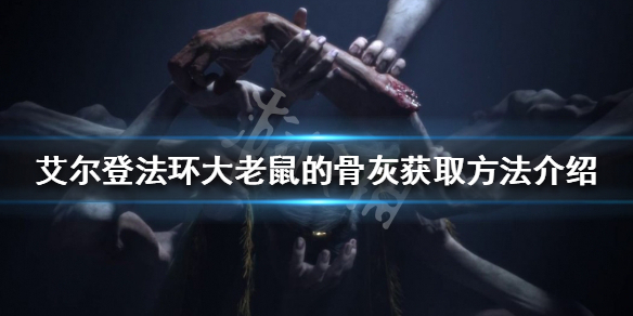 《艾爾登法環》大老鼠的骨灰如何獲得？大老鼠的骨灰獲取方法介紹
