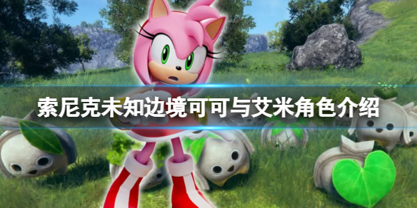 《索尼克未知邊境》艾米是誰？可可與艾米角色介紹