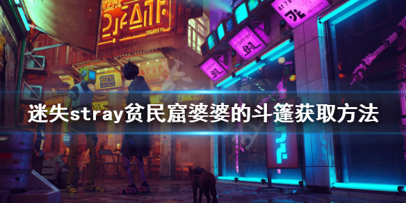 《迷失》貧民窟婆婆的斗篷如何獲得？stray貧民窟婆婆的斗篷獲取方法