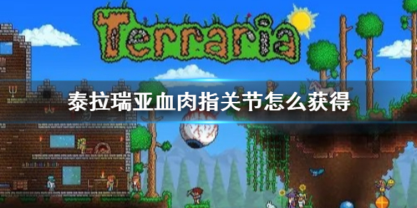 《泰拉瑞亞》血肉指關節怎麼獲得？獲取方法分享